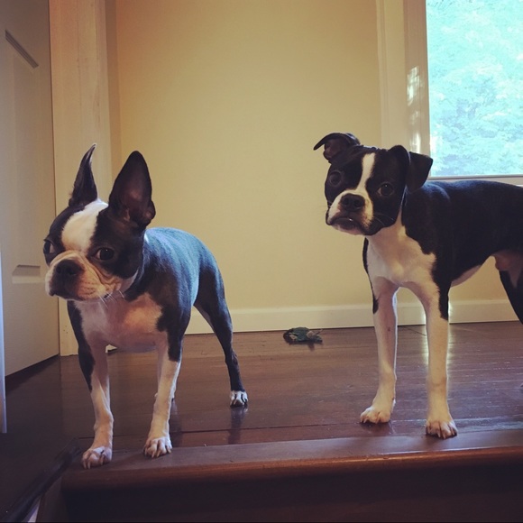 Hi Iโm Melinda! ๐ - Picture 9 of 9